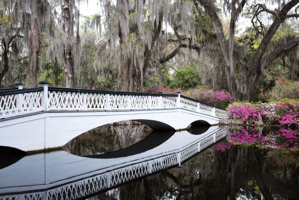 The Long White Bridge may be Magnolia’s most iconic spot, reaching over one of several blackwater ponds in the gardens. 