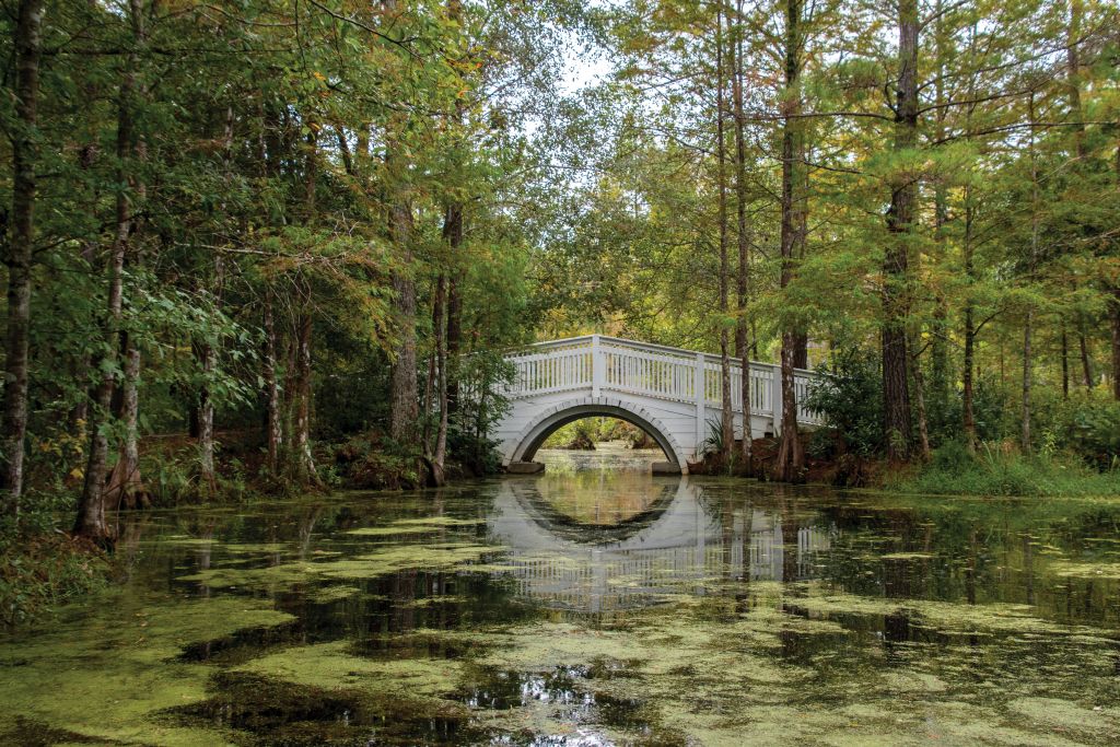 Charming bridges cross blackwater ponds ringed in bald cypress and tupelo trees.