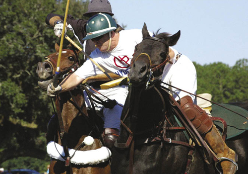 Local players ride alongside those visiting from other states, as well as from England, Holland, and Argentina, the country that produces the best polo players in the world.