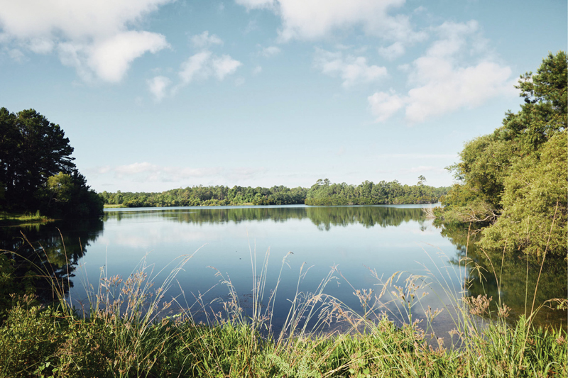 Quarry lakes are a key feature at the 6,000-acre reserve along Ashley River Road.