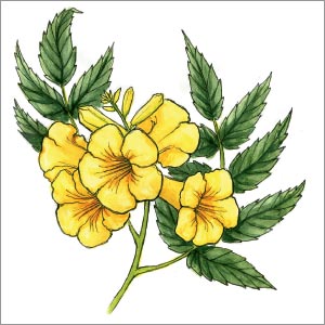 Yellow Bell Flower Clipart Graphics